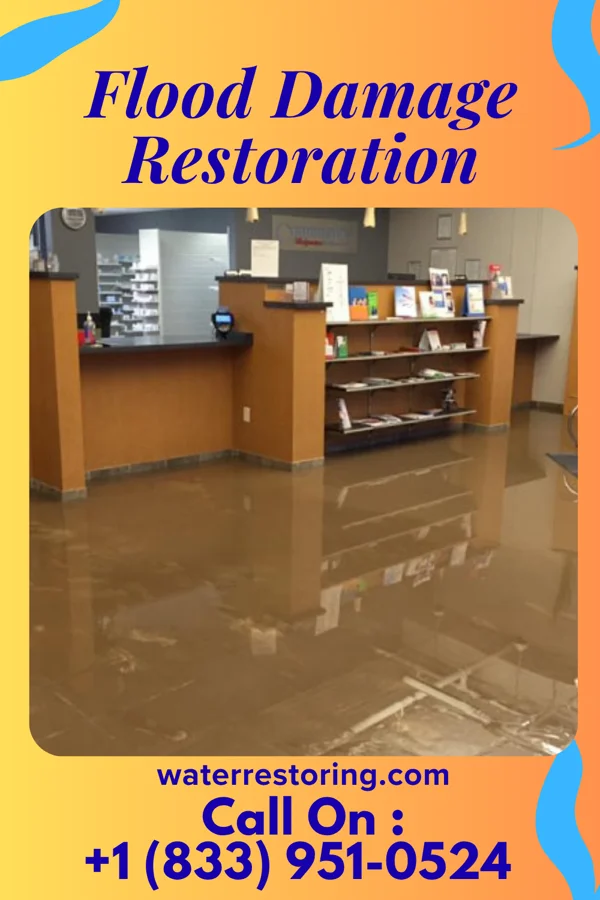Flood Damage Restoration in Williamsburg, FL