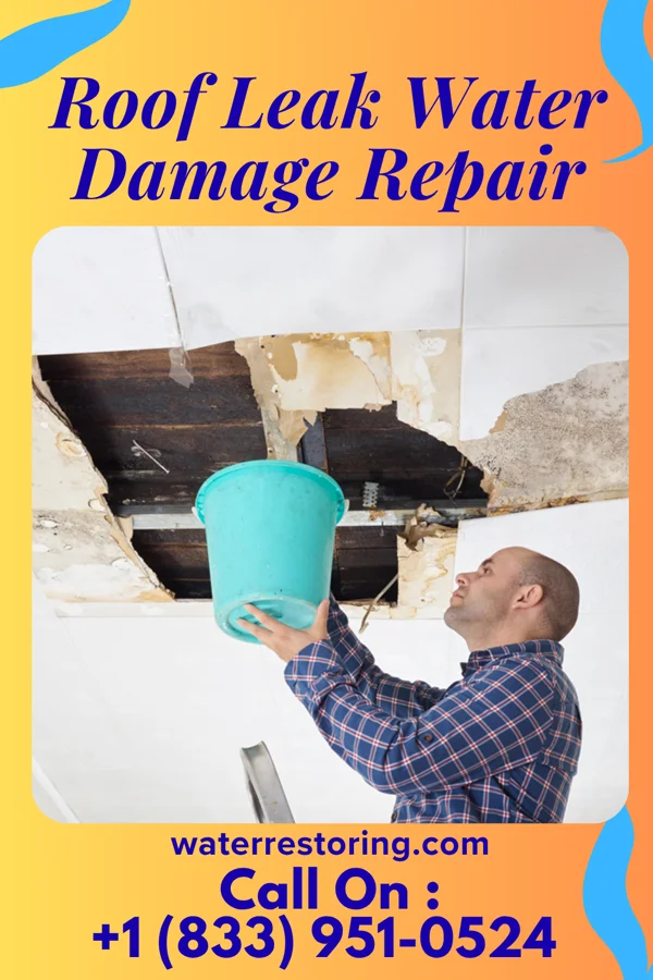 Roof Leak Water Damage Repair in Williamsburg, FL